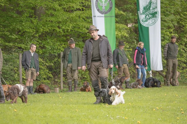 Hundepräsentation 2019